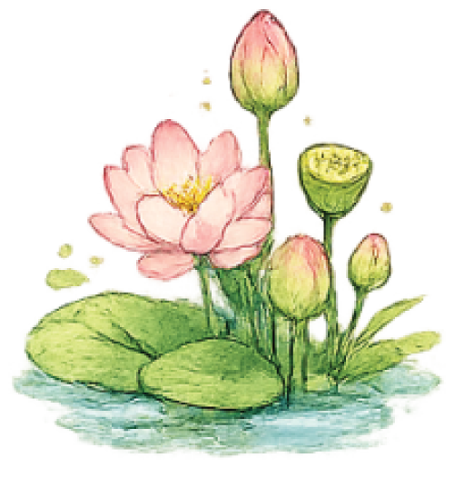 Watercolor lotus flowers and lily pads