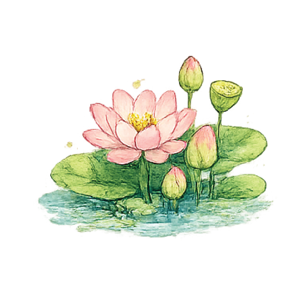 Lotus flower with lily pads